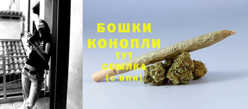 Бошки Шишки SATIVA & INDICA  Гудермес 